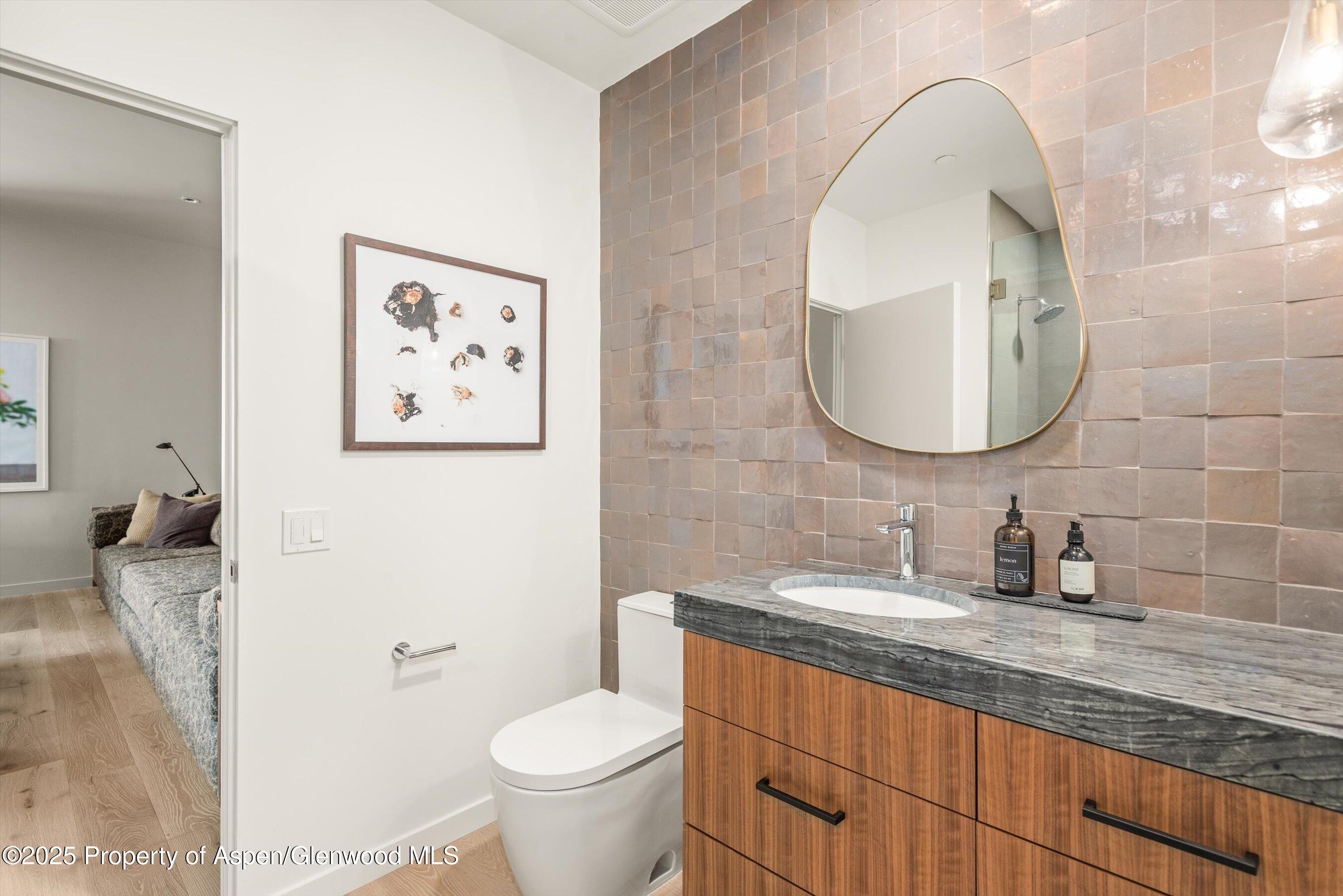 103 Willow Road, Unit 101 Basalt, CO 81621 - Photo 10 of 12 a bathroom with a toilet sink and mirror
