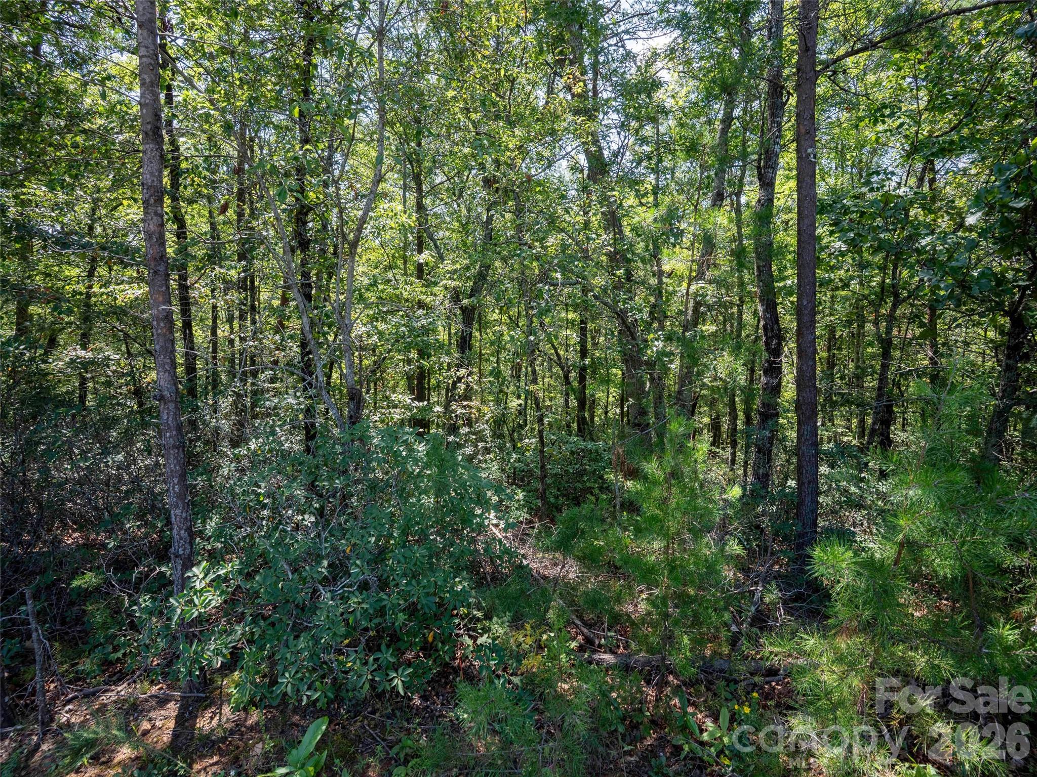 0 Deep Gap Farm Road East, Unit 2007 Mill Spring, NC 28756 - Photo 5 of 11 Gallery Image 5