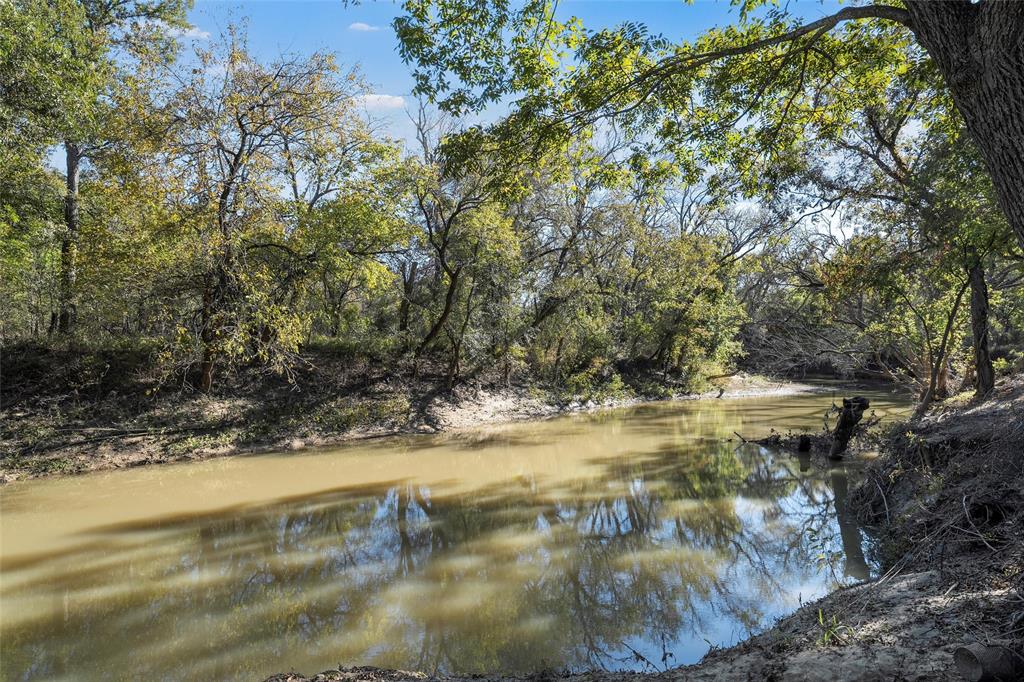 925 Church Road McGregor, TX 76657 - Photo 37 of 40 a view of a yard with a tree