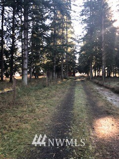 245 Hart Road Winlock, WA 98596 - Photo 2 of 25
