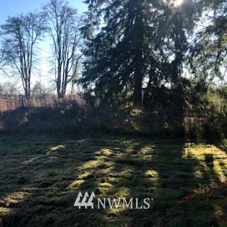 245 Hart Road Winlock, WA 98596 - Photo 8 of 25