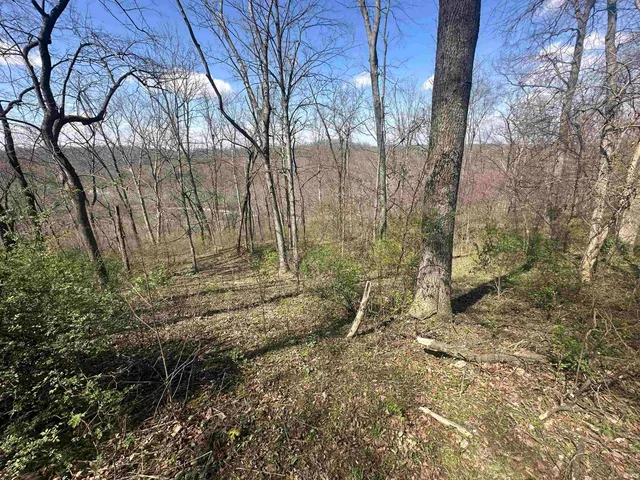 $244,300 | 0 Old Us 52, Laurel, IN 47024