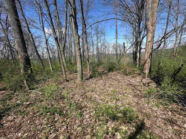 $244,300 | 0 Old Us 52, Laurel, IN 47024
