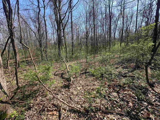 $244,300 | 0 Old Us 52, Laurel, IN 47024