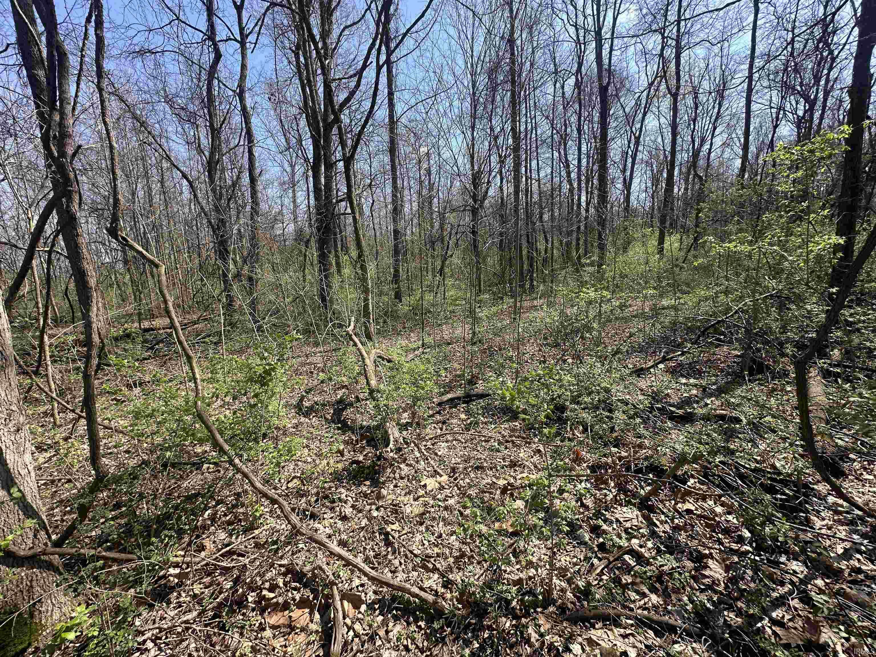 0 Old Us 52 Laurel, IN 47024 - Photo 10 of 18