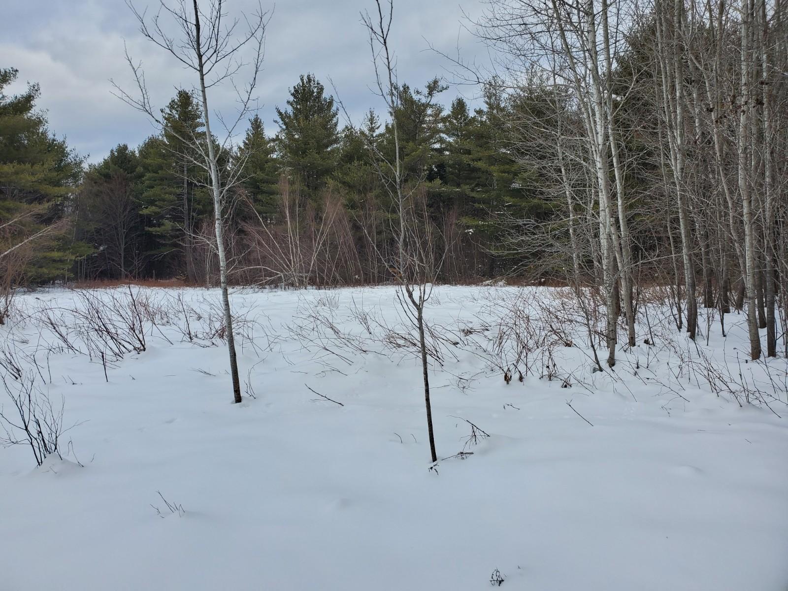 Tbd Tbd North Road Lee, ME 04455 - Photo 6 of 6 20210112_130919