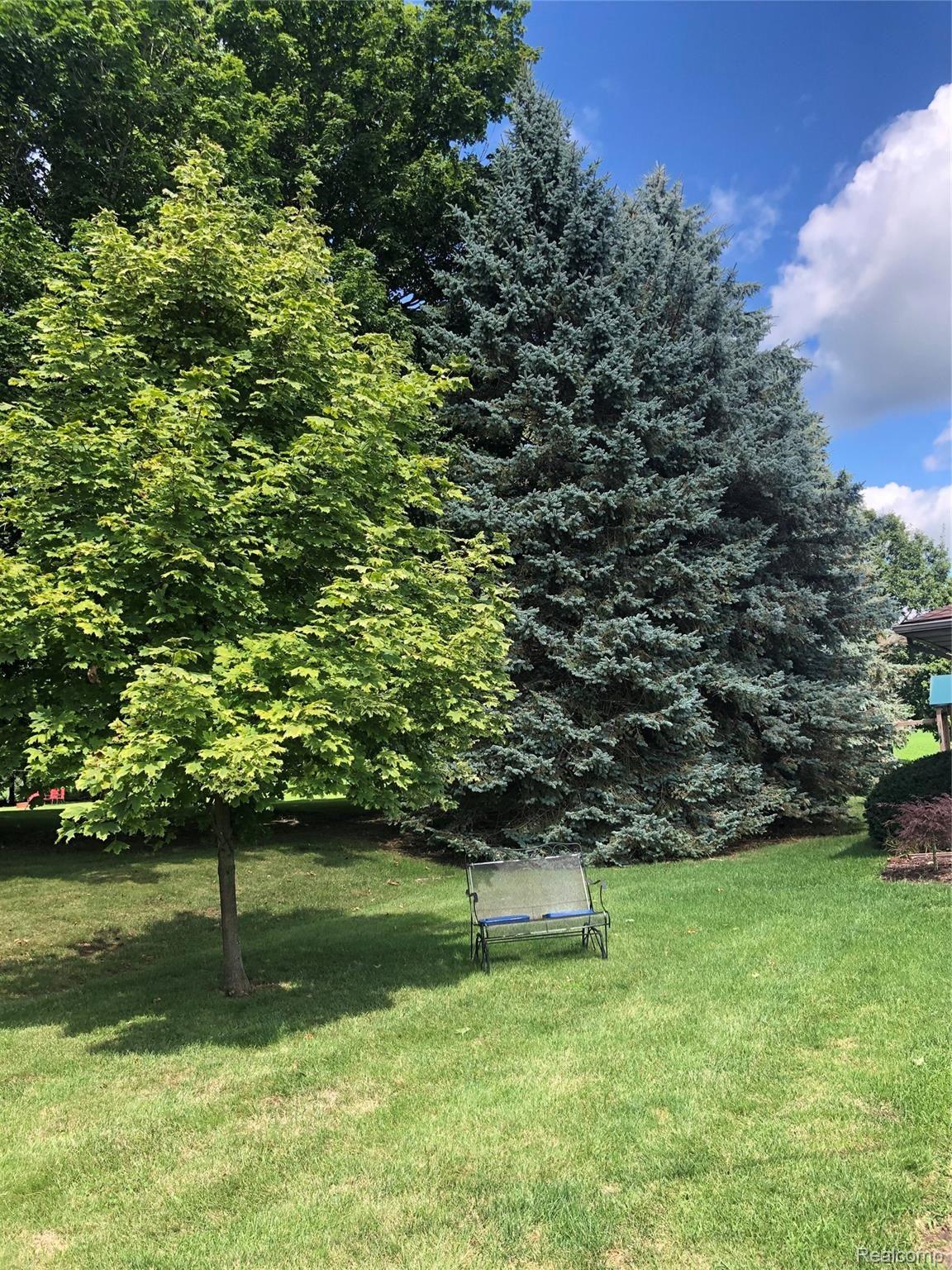 3775 Newark Road Attica, MI 48412 - Photo 18 of 24 yard (3).JPG