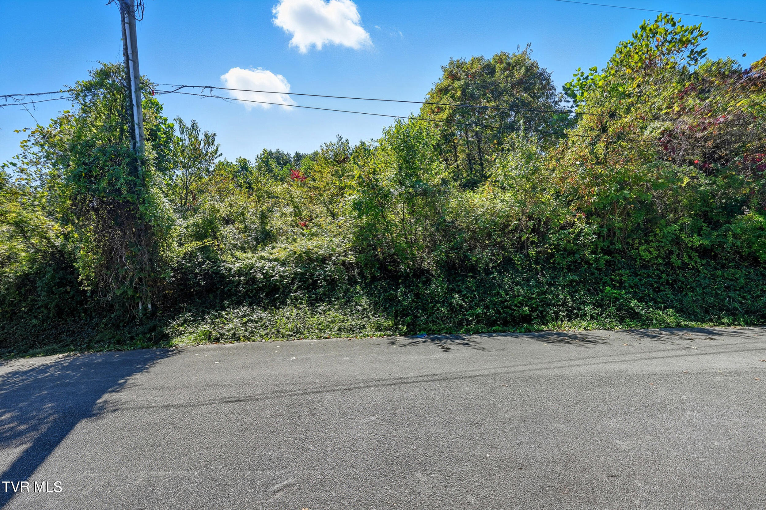 Tbd Tbd Lane, Unit 5 Unicoi, TN 37692 - Photo 13 of 24 3_dsc06131