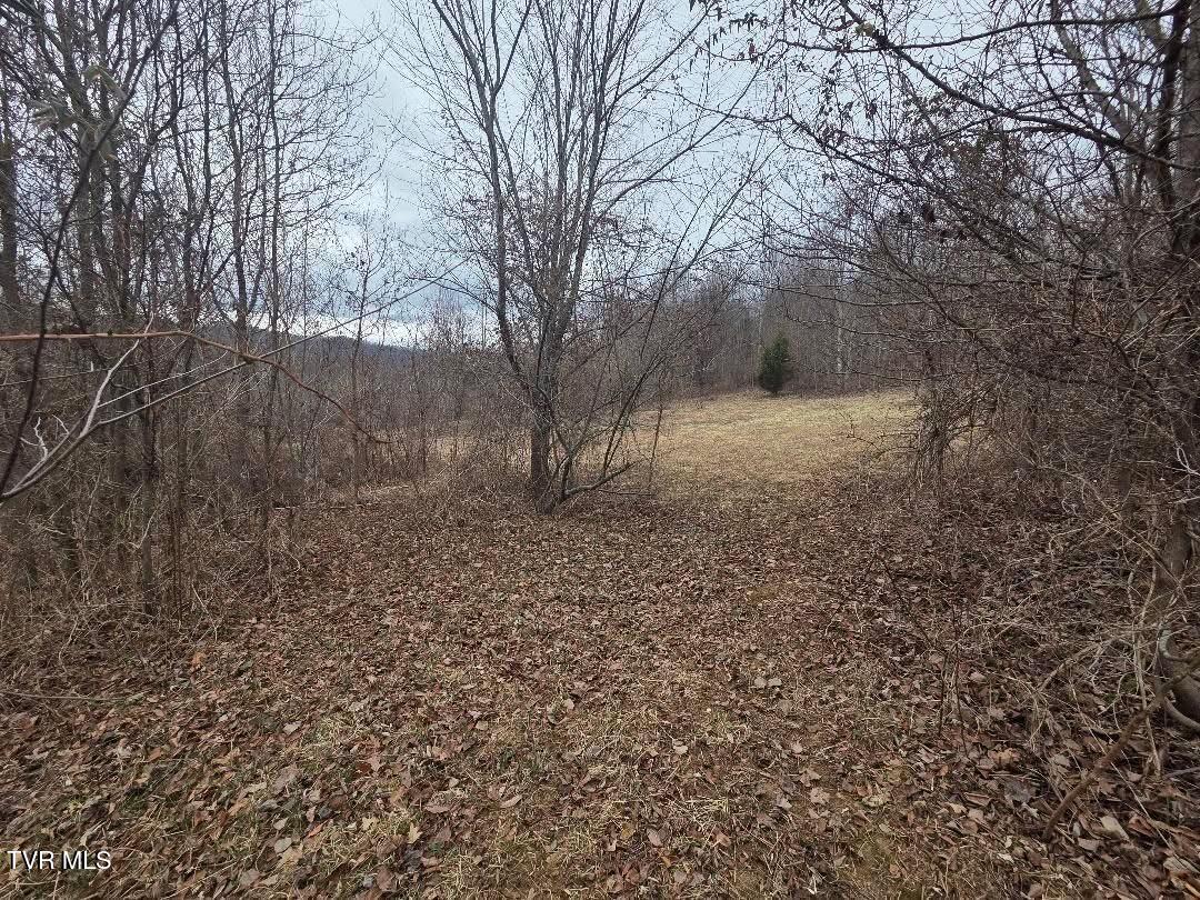 Tbd Tbd Lane, Unit 5 Unicoi, TN 37692 - Photo 24 of 24 A23BD175-9443-4EA0-A56D-B3260979084D