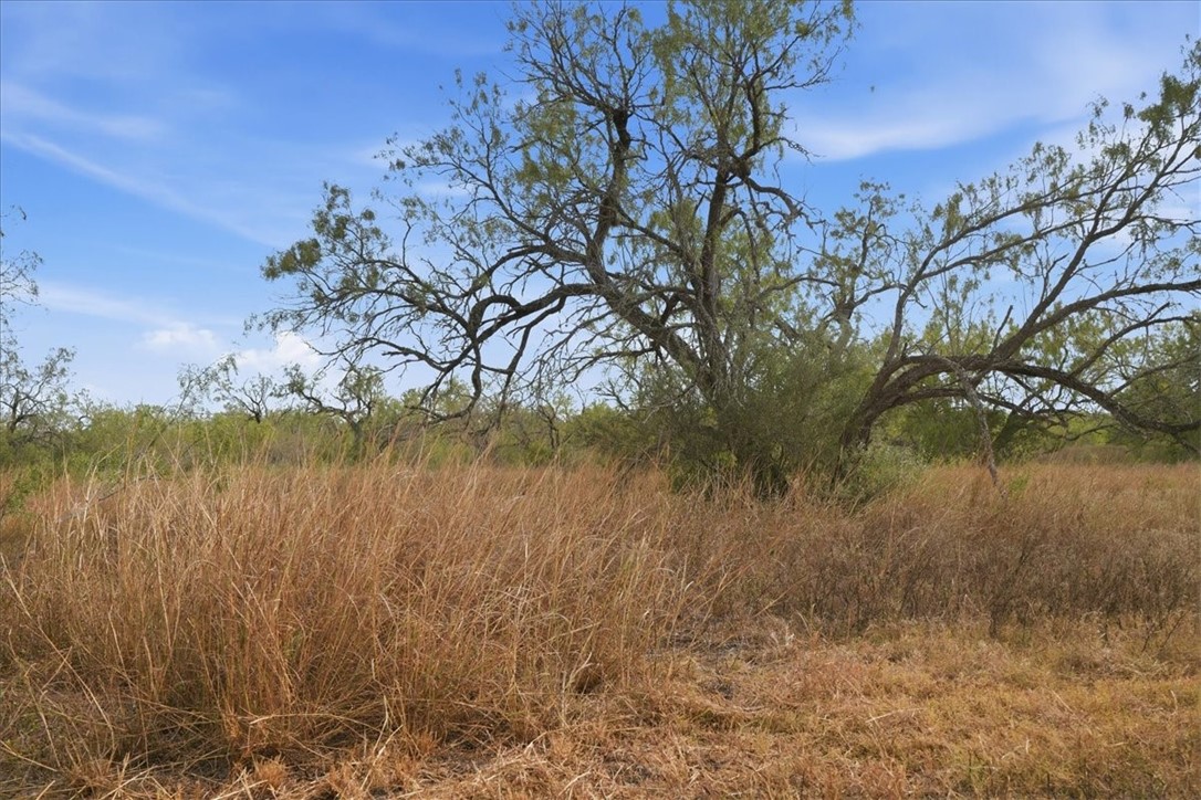 1991 South Highway 37 Three Rivers, TX 78071 - Photo 12 of 60 Gallery Image 12