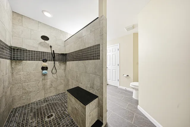 a bathroom with a shower and a toilet
