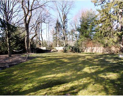 34 Lake Drive Riverside, CT 06878 - Photo 13 of 13 a view of large trees