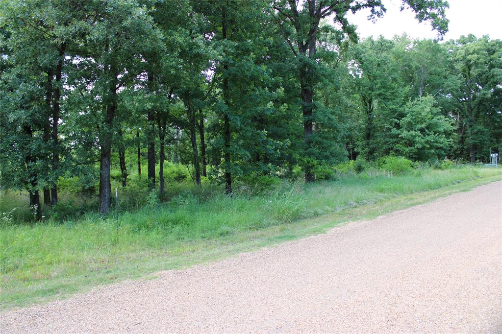 116 Lakeview Trail Mabank, TX 75147 - Photo 10 of 13 Wooded lot featuring mature deciduous trees and natural groundcover bordering a gravel road