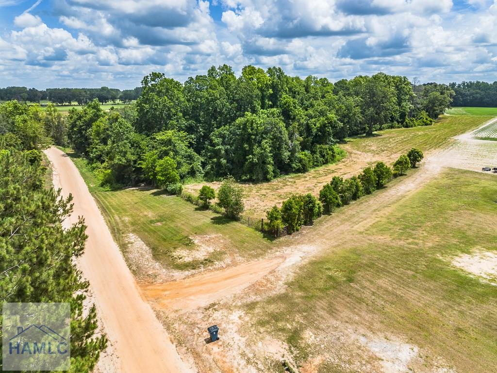 0 Nesbit Road Jesup, GA 31545 - Photo 21 of 35 Gallery Image 21