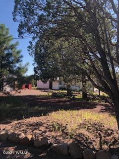 2 County Road Nutrioso, AZ 85932 - Photo 7 of 39