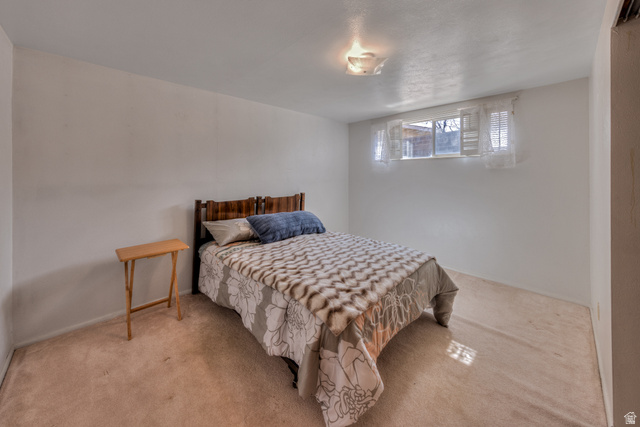 738 Locust Lane Moab, UT 84532 - Photo 15 of 25 Bedroom with light carpet