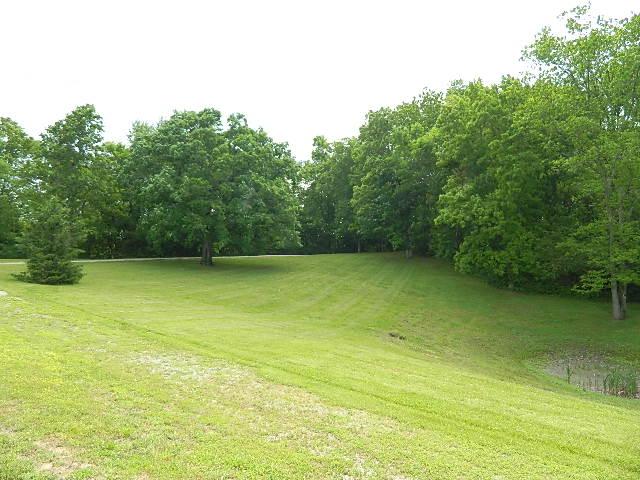 4813 Smithson Road College Grove, TN 37046 - Photo 4 of 12 Gallery Image 4