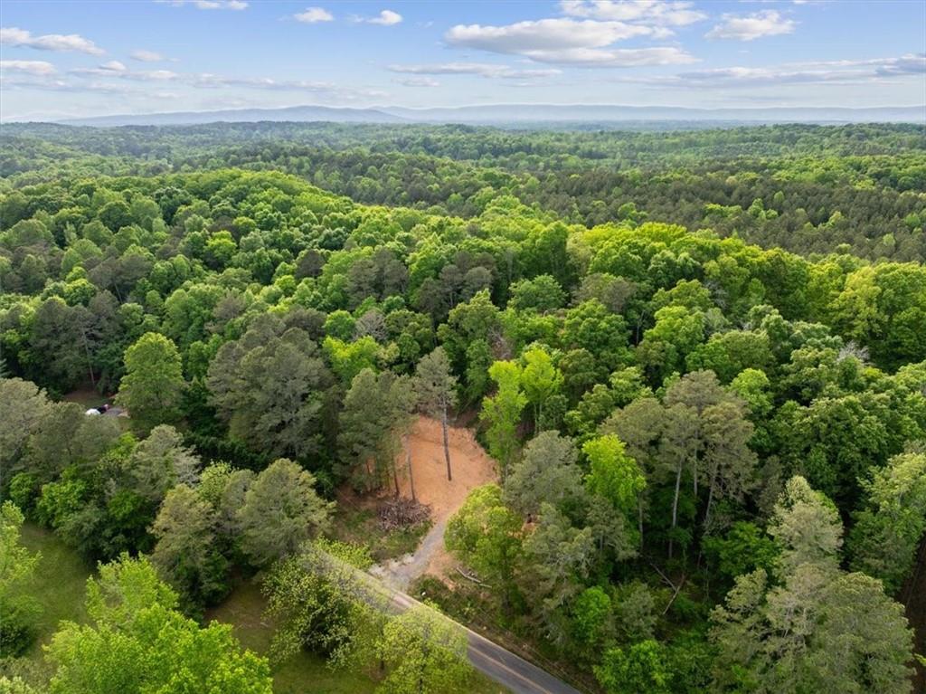307 Moores Ferry Road Southwest Plainville, GA 30733 - Photo 10 of 14