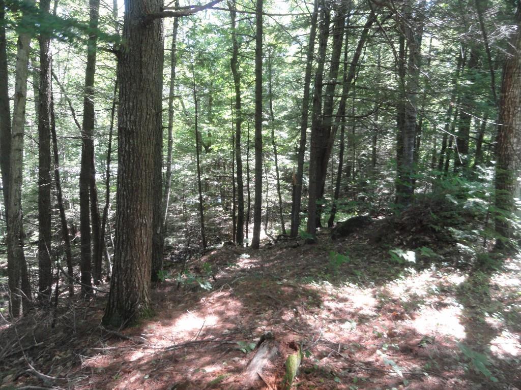 0 Norway Road Waterford, ME 04088 - Photo 8 of 14 From interior of lot land falls...