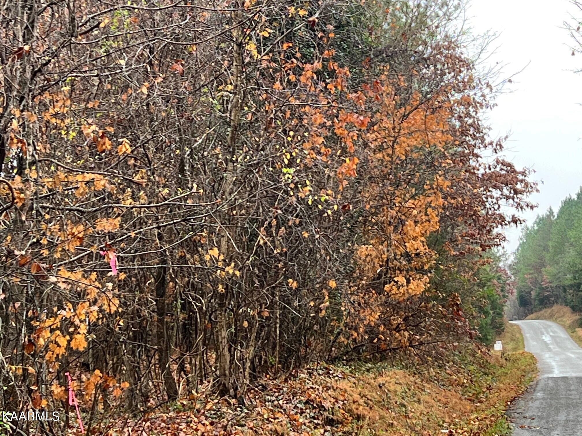 Lot 14 Rayl Hollow Decatur, TN 37322 - Photo 4 of 6 Rh2