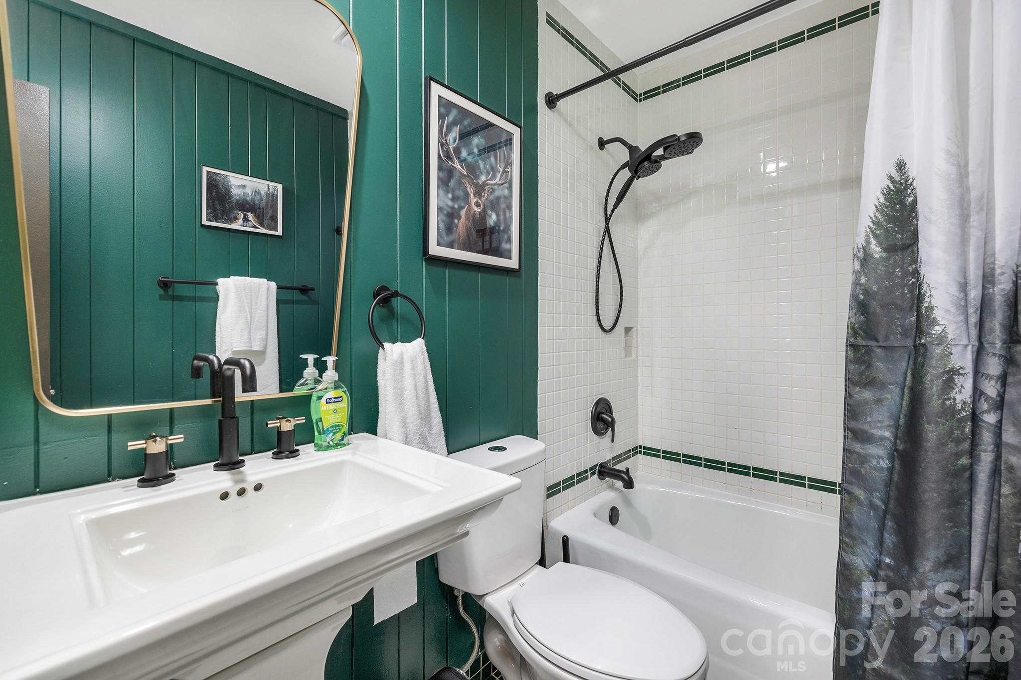 556-558 Thorncliff Drive Seven Devils, NC 28604 - Photo 14 of 48 a bathroom with a sink mirror toilet and bathtub