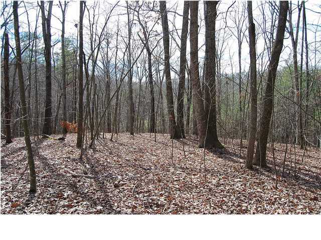8 Pendergrass Road Soddy Daisy, TN 37379 - Photo 5 of 6 Additional Photo