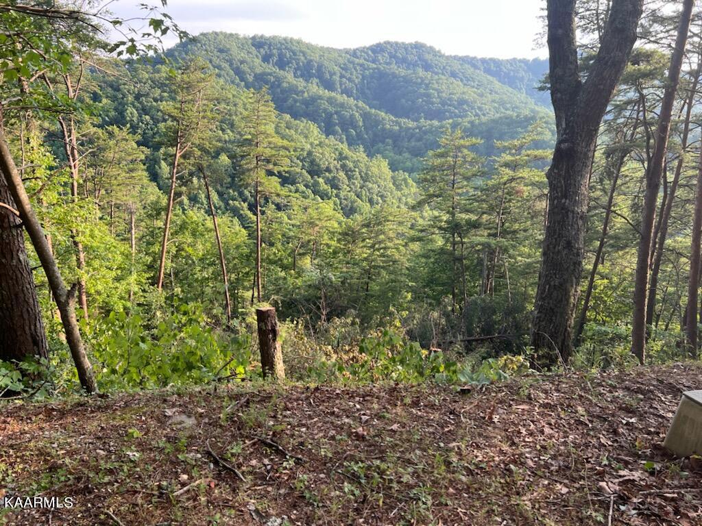 2765 Happy Hollow Road Sevierville, TN 37862 - Photo 11 of 16 IMG_4619