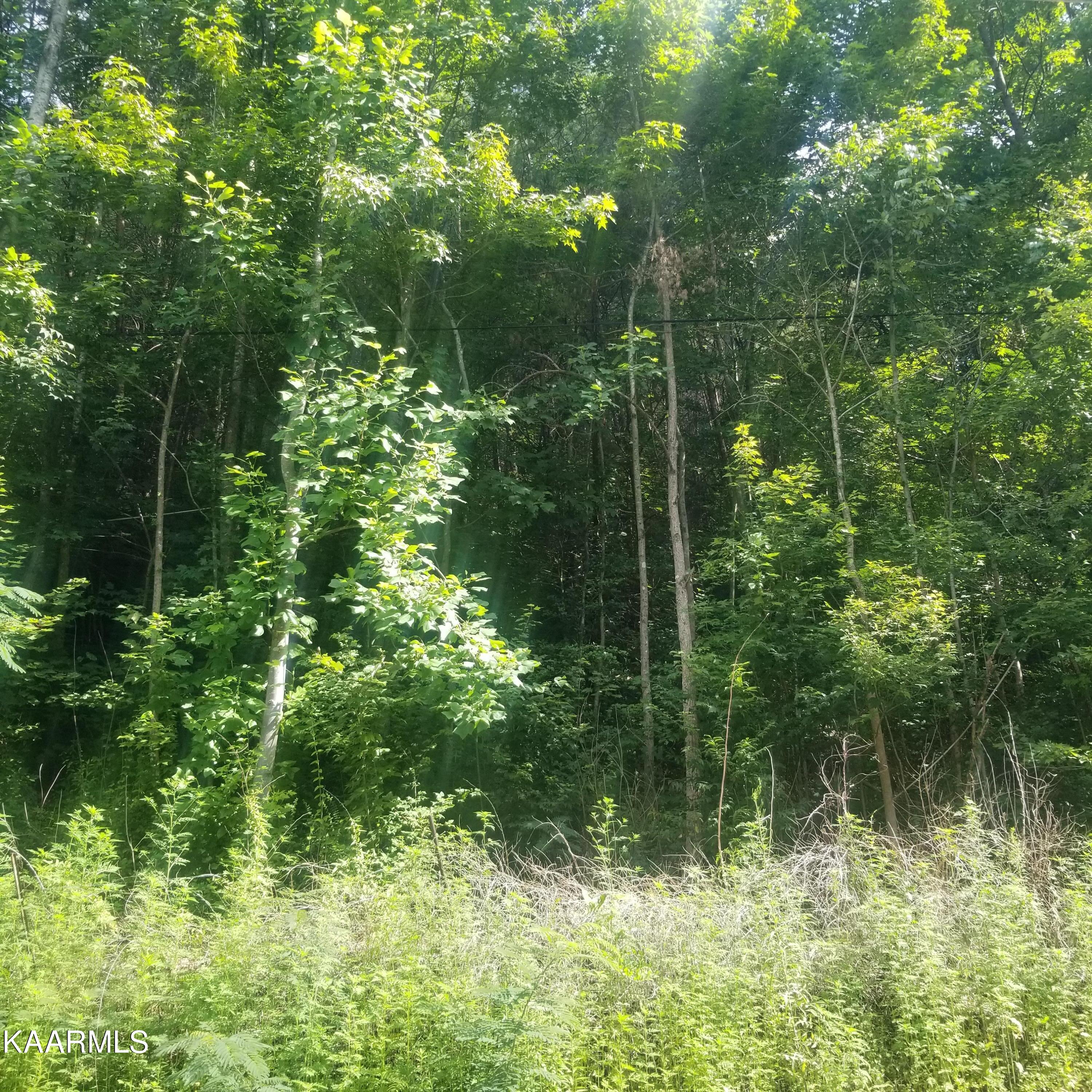 2765 Happy Hollow Road Sevierville, TN 37862 - Photo 12 of 16 20220718_101020