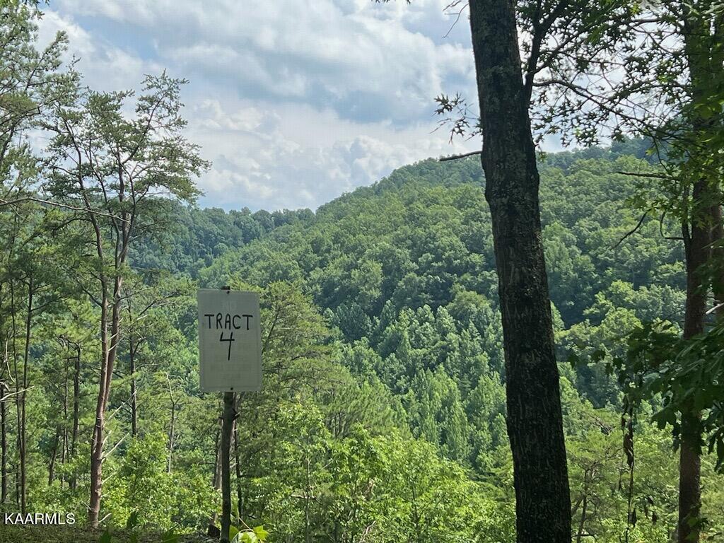 2765 Happy Hollow Road Sevierville, TN 37862 - Photo 16 of 16 imagejpeg_0
