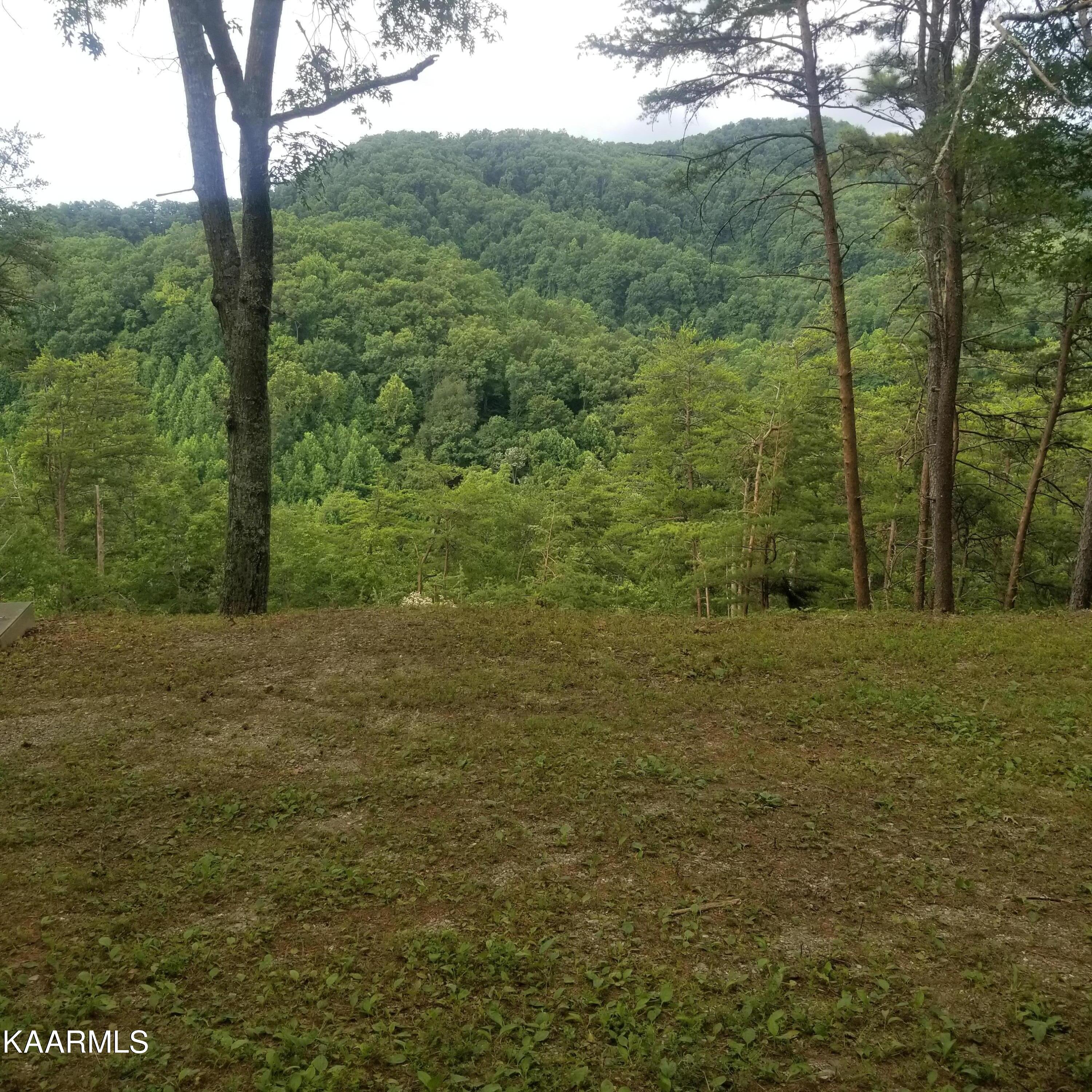 2765 Happy Hollow Road Sevierville, TN 37862 - Photo 3 of 16 20220718_095841