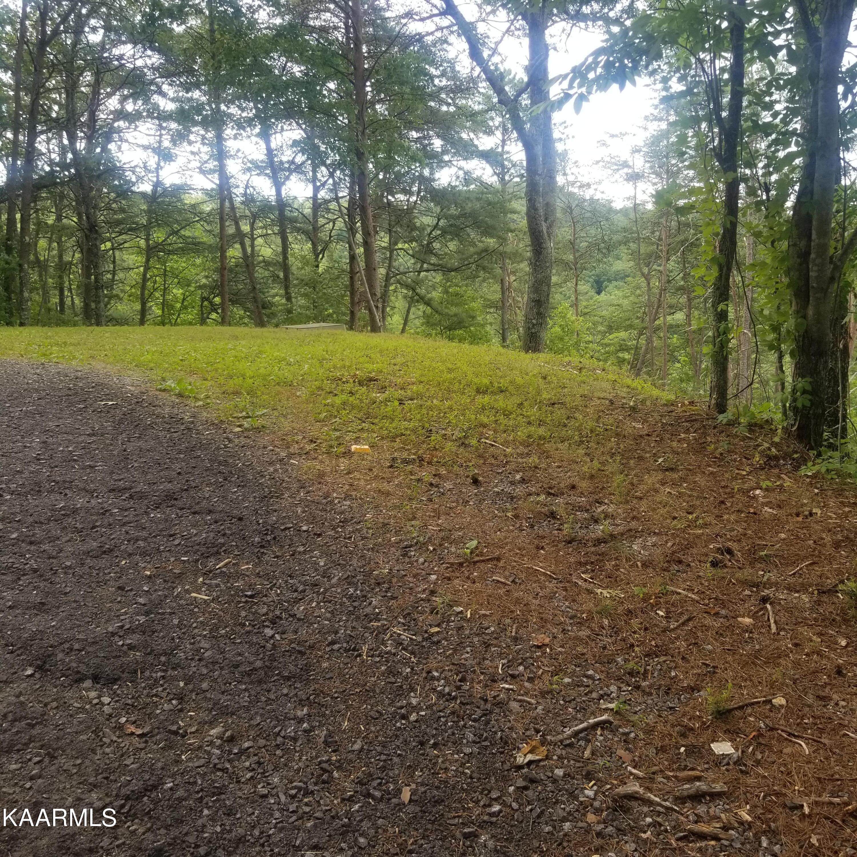 2765 Happy Hollow Road Sevierville, TN 37862 - Photo 4 of 16 20220718_100041