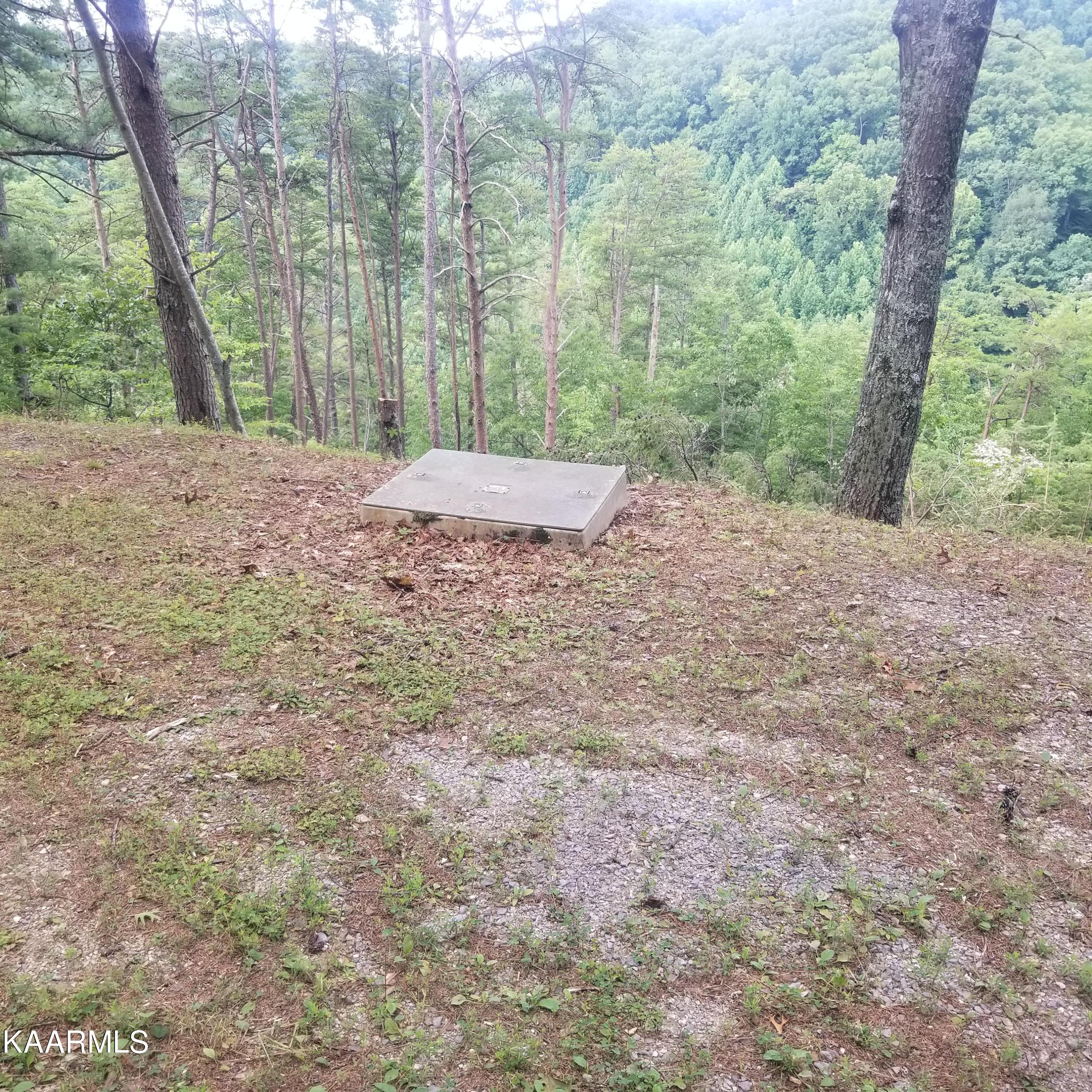 2765 Happy Hollow Road Sevierville, TN 37862 - Photo 6 of 16 20220718_095848