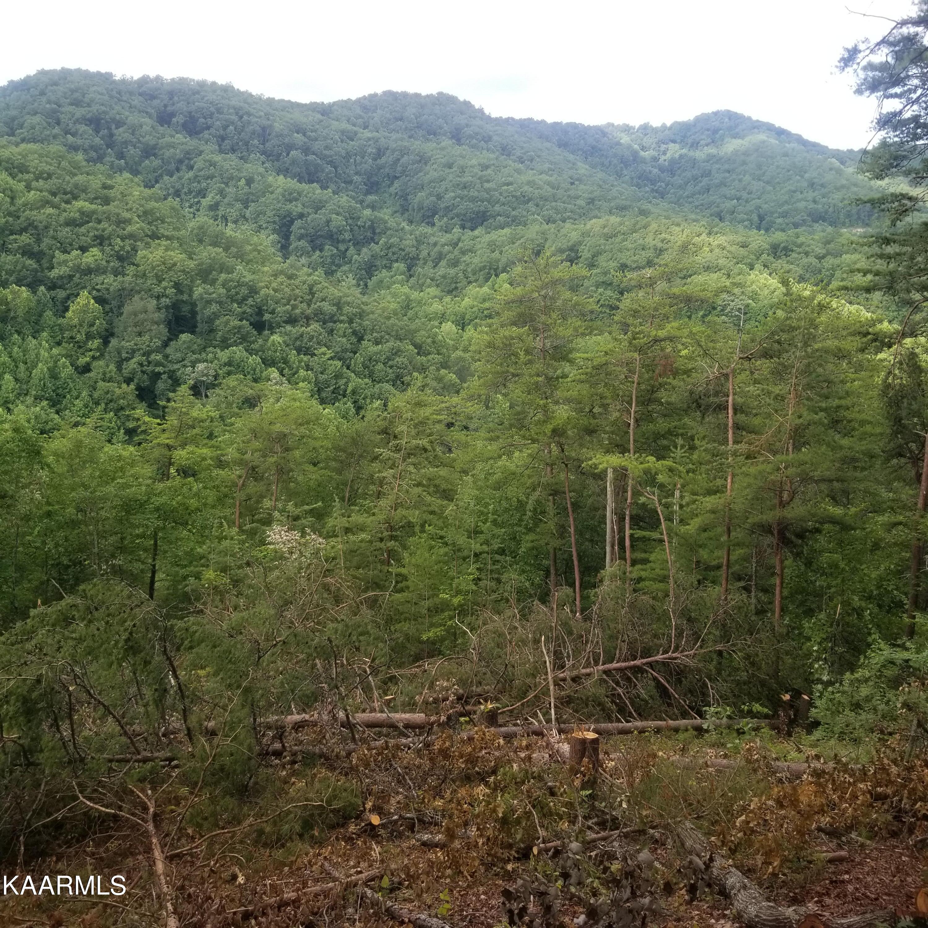 2765 Happy Hollow Road Sevierville, TN 37862 - Photo 7 of 16 20220718_095926