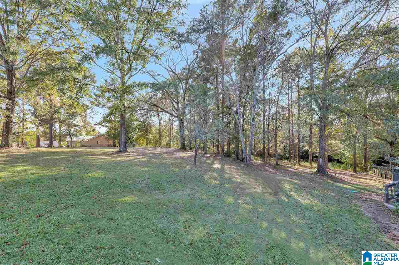 2868 Mt Moriah Road South Pell City, AL 35125 - Photo 33 of 40