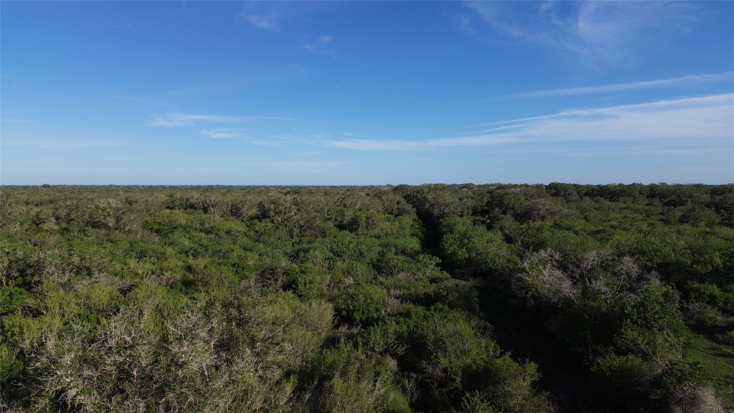 6104 Lucas Road Goliad, TX 77963 - Photo 12 of 32 a view of a city with lush green forest