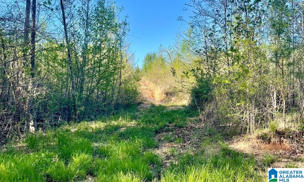0 Landfill Road, Unit 1 Ashland, AL 36251 - Photo 13 of 15