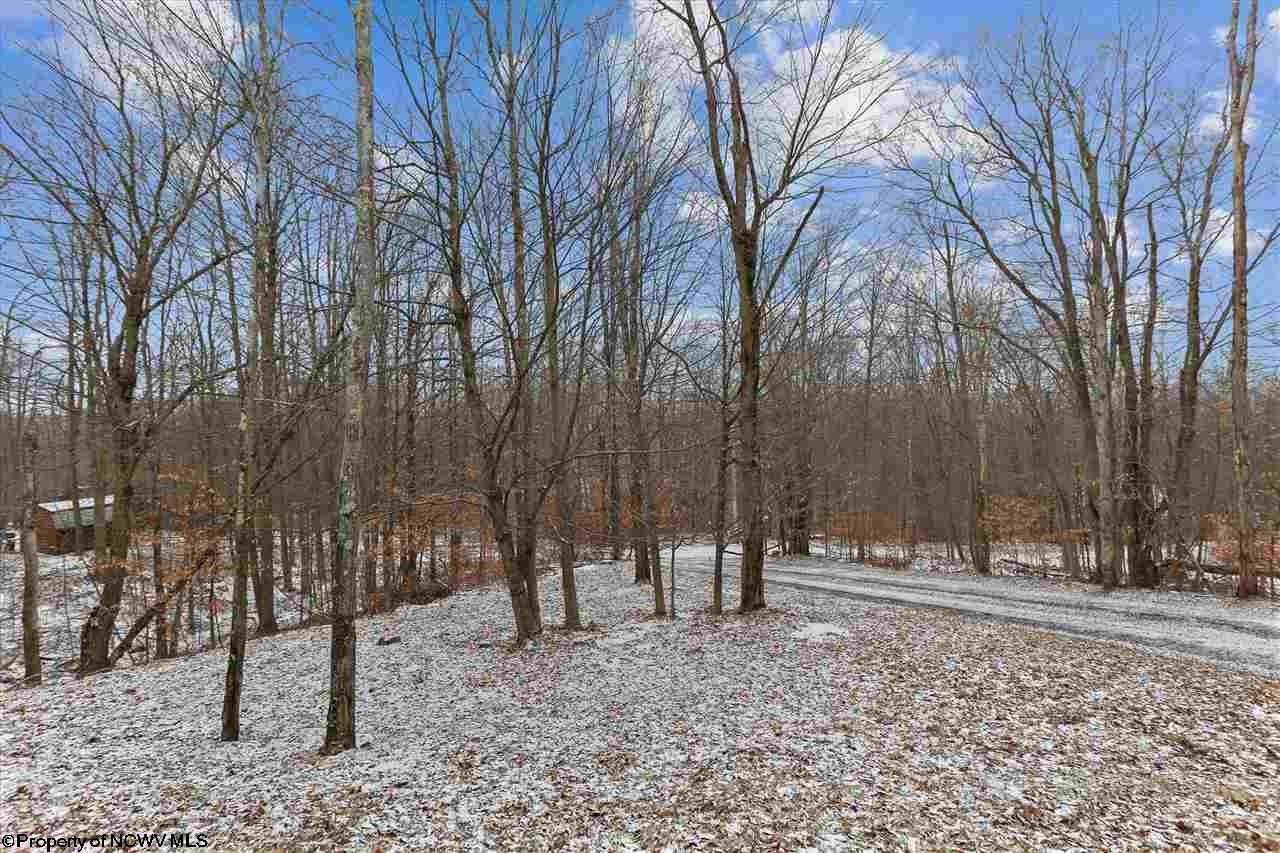 214 Cabin Mountain Road Davis, WV 26260 - Photo 22 of 25 Gallery Image 22