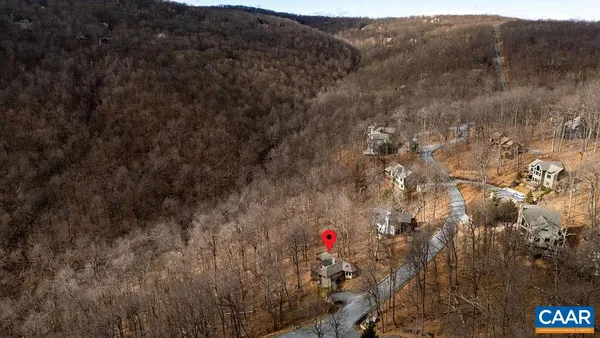a fire hydrant in the middle of a forest