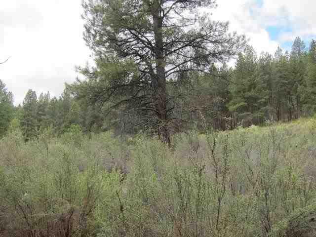 0 Rollingwood Road Chiloquin, OR 97624 - Photo 8 of 14 Additional Photo