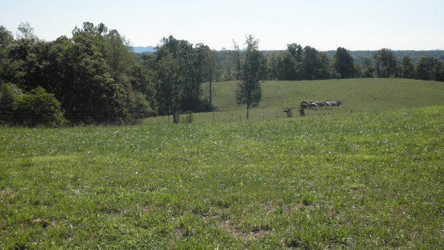 730 Bend Road Waco, KY 40385 - Photo 27 of 32 Photo 27