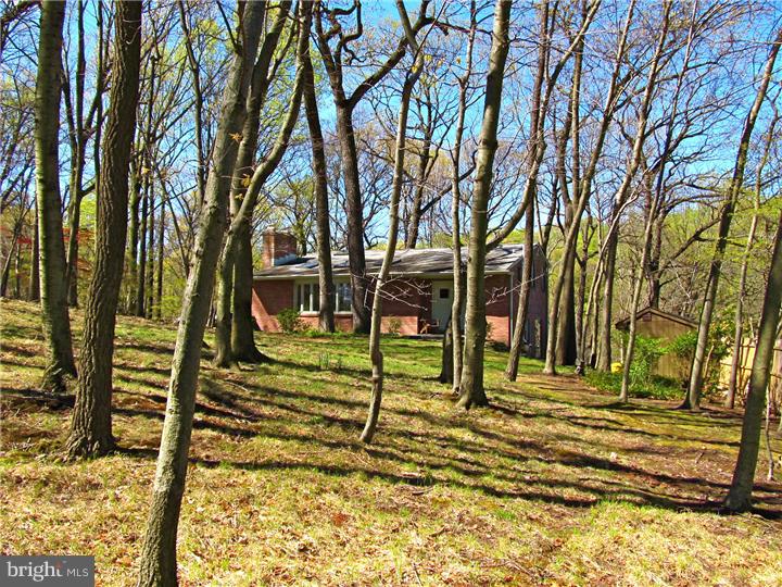 319 Hidden River Road Penn Valley, PA 19072 - Photo 13 of 19