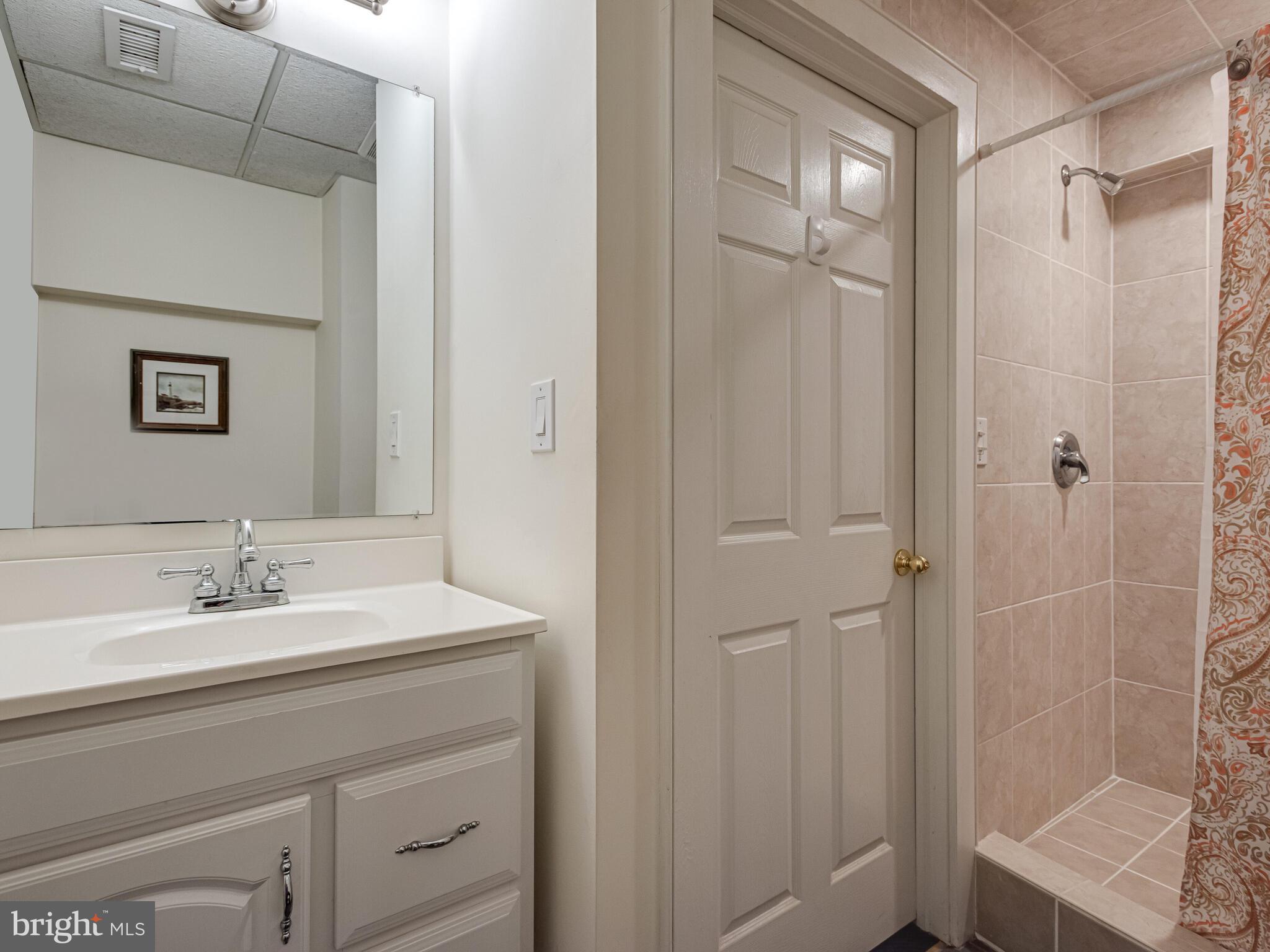 258 Bollinger Road Elverson, PA 19520 - Photo 69 of 96 basement bath