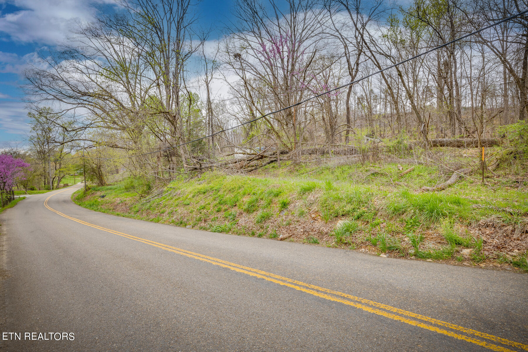 2424 Kidwell Ridge Road Morristown, TN 37814 - Photo 4 of 18 004