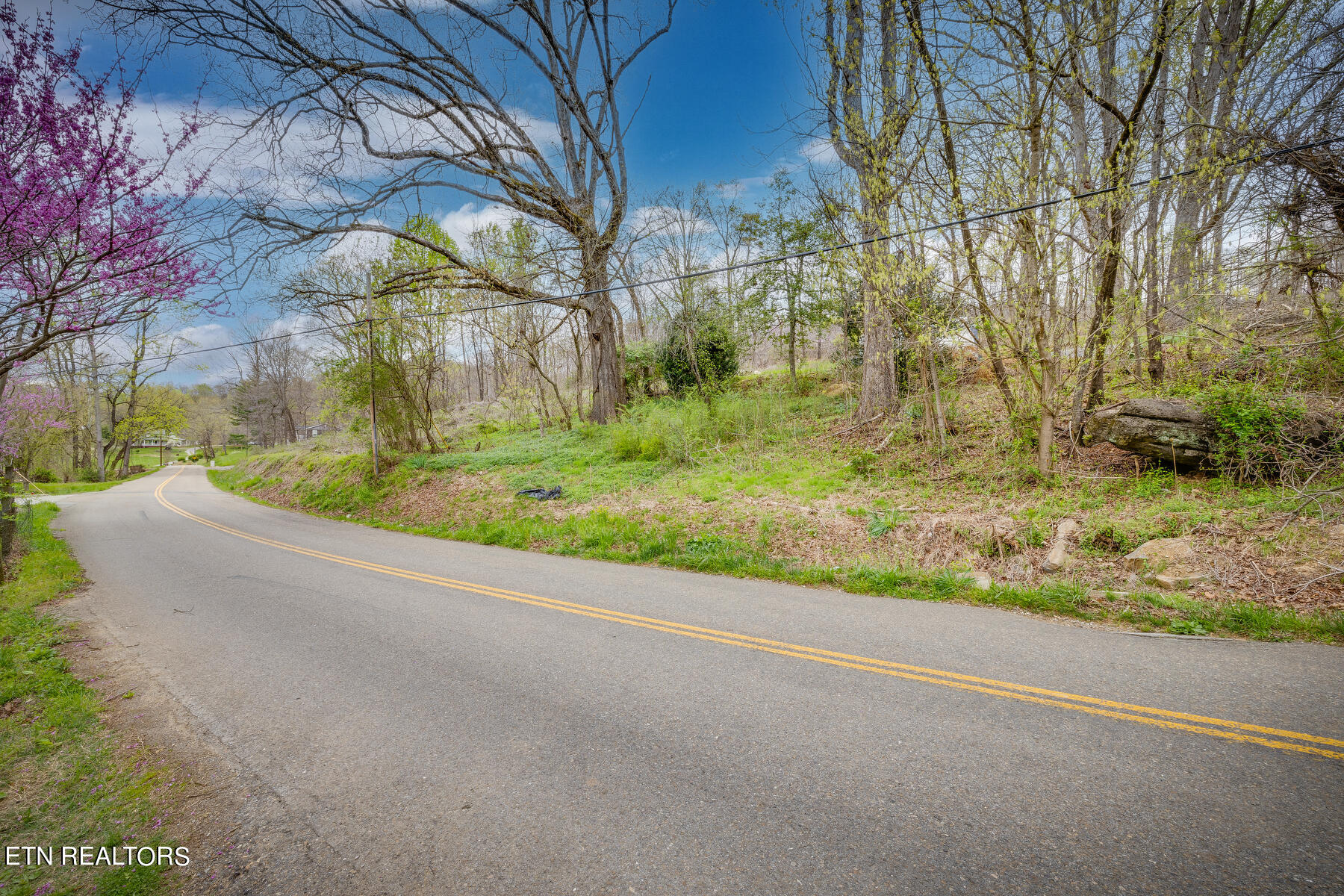 2424 Kidwell Ridge Road Morristown, TN 37814 - Photo 5 of 18 003