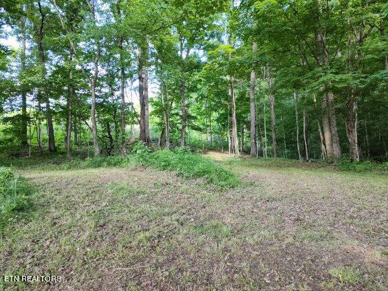2424 Kidwell Ridge Road Morristown, TN 37814 - Photo 6 of 18 image000004