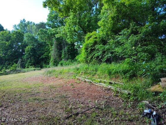 2424 Kidwell Ridge Road Morristown, TN 37814 - Photo 7 of 18 image000001