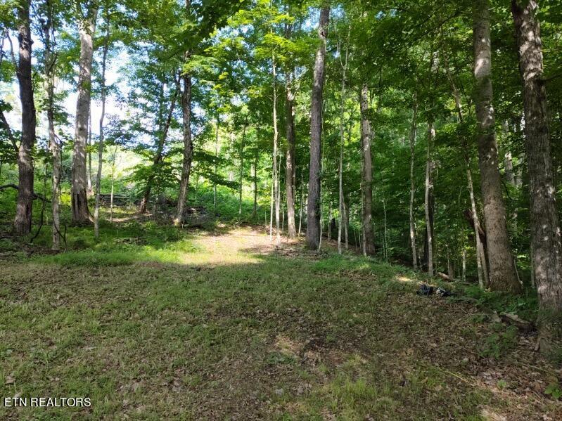 2424 Kidwell Ridge Road Morristown, TN 37814 - Photo 8 of 18 image000002