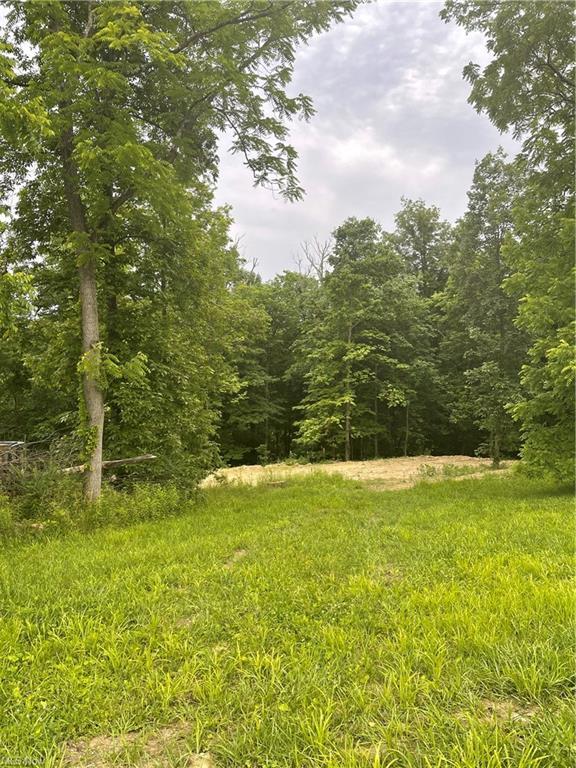 9761 Dutch School Road Dresden, OH 43821 - Photo 14 of 16 2BE7FA0B-DABB-4BE7-99B9-B696F3E2277F