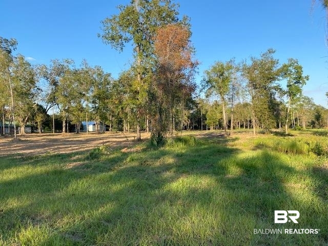 16108 Old Pierce Road Fairhope, AL 36532 - Photo 5 of 14