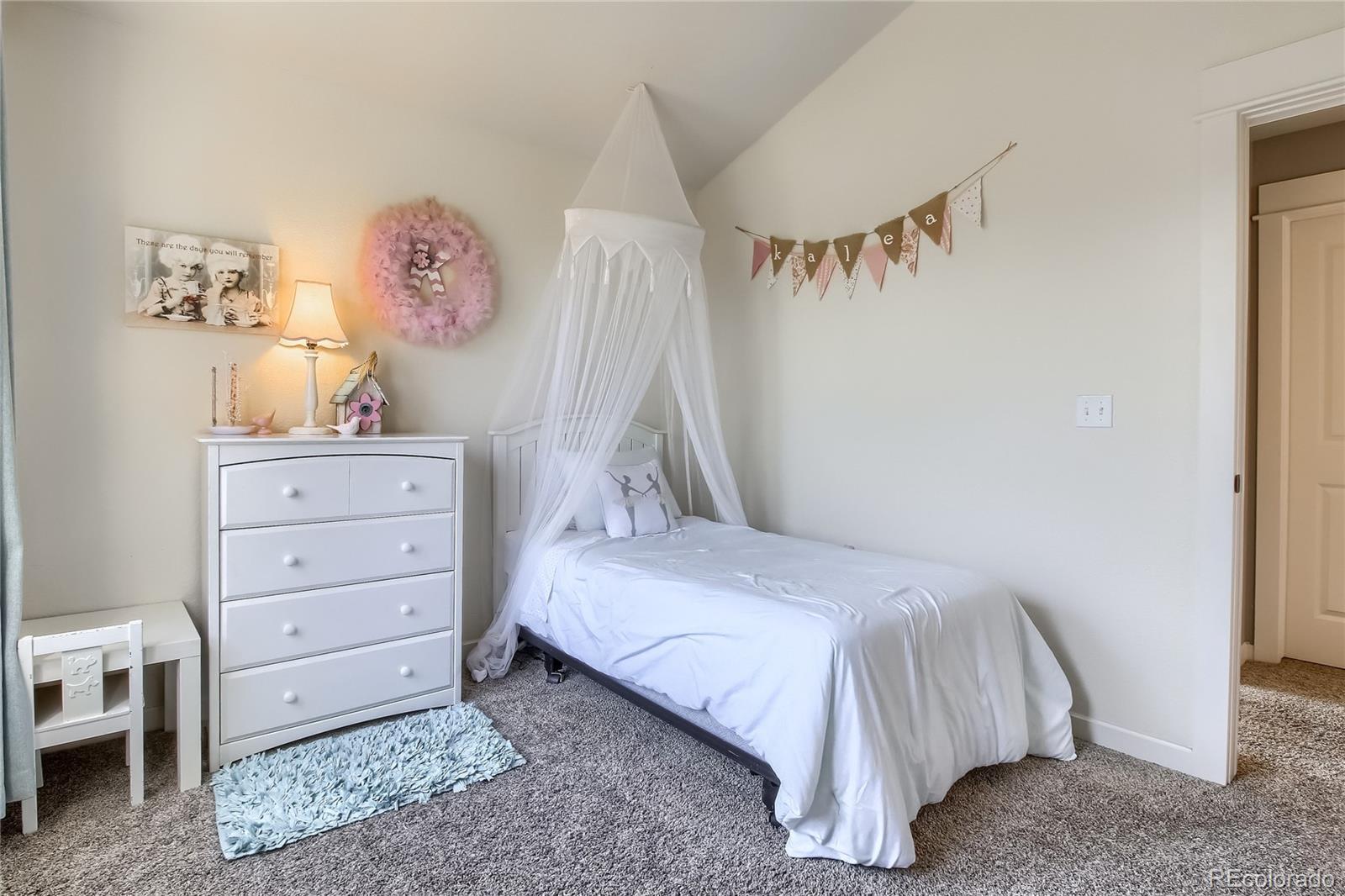 10958 McClellan Road Parker, CO 80134 - Photo 23 of 39 Gallery Image 23